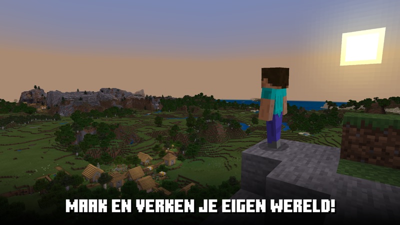 Minecraft store still