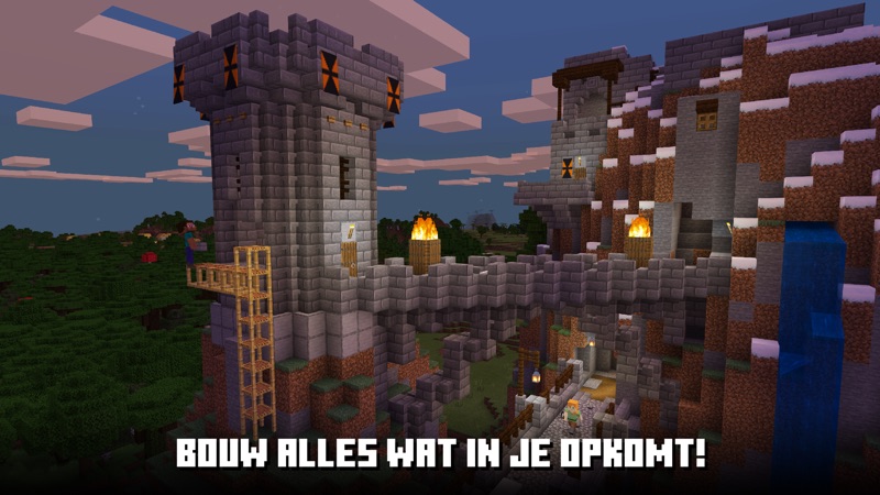 Minecraft store still of a block world